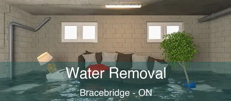  Water Removal Bracebridge - ON