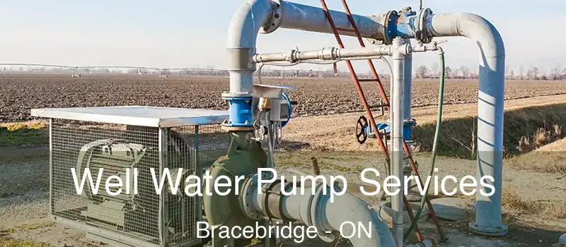  Well Water Pump Services Bracebridge - ON